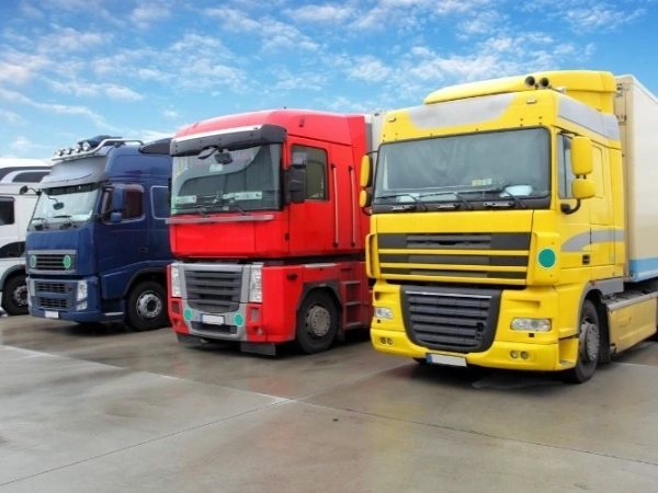 İzmir Söğütlü Nakliye